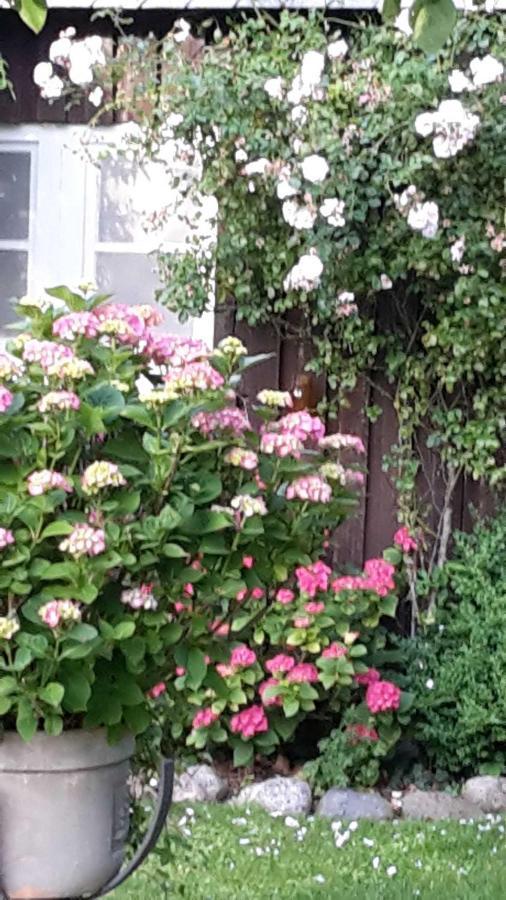 Schoene Ferienwohnung Im Alten Gasthaus In Stoltebuell Εξωτερικό φωτογραφία